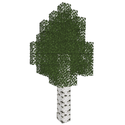 ../_images/birch_4.png